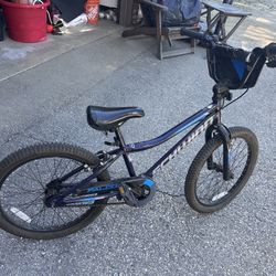 Schwinn Falcon 20” Kids Bike Bicycle 