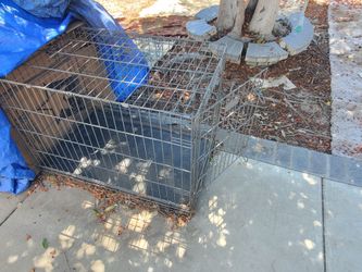 Dog kennel double door