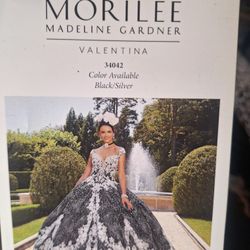 Beautiful Quinceańera Dress