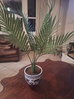 Beautiful fake plant