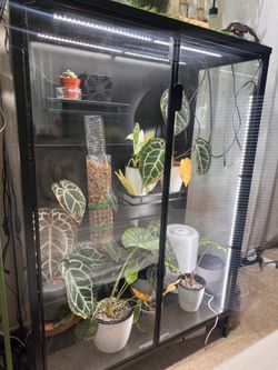 Ikea Greenhouse Rudsta Cabinet