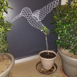 Hummingbird Topiary Plant - 18" White
