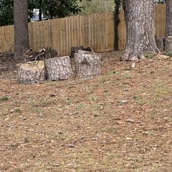 Free Firewood Logs