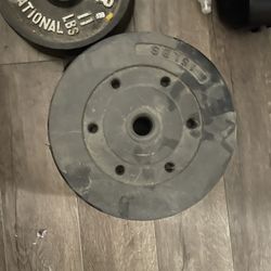 Workout Bench With Weights 