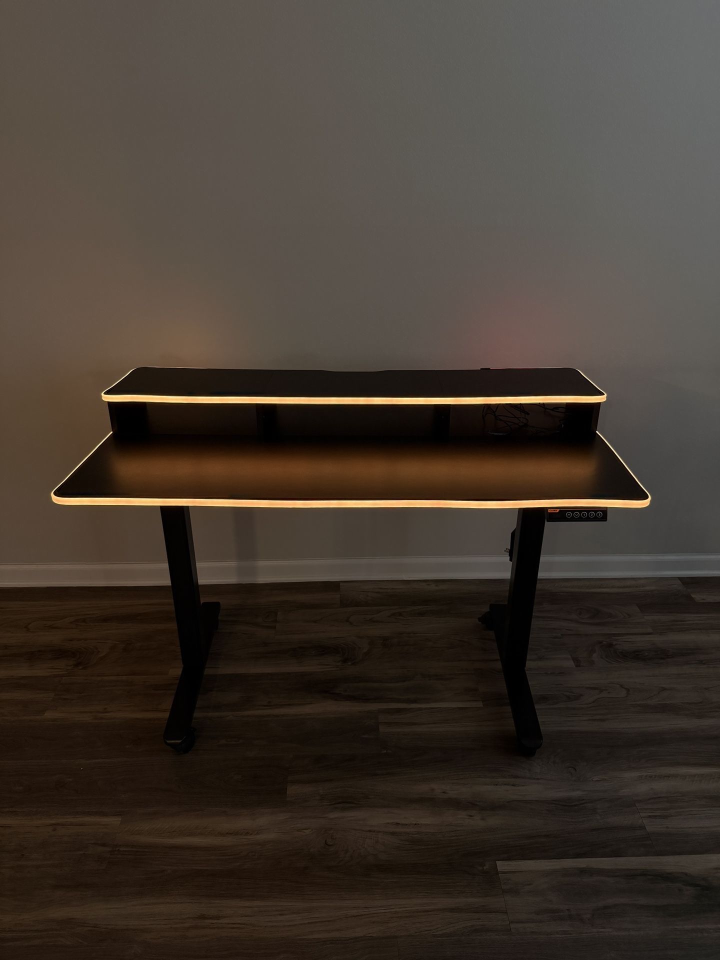 Black Electric Standing Desk with Custom Govee LED Lights