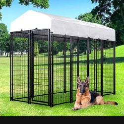 New Dog Kennel 