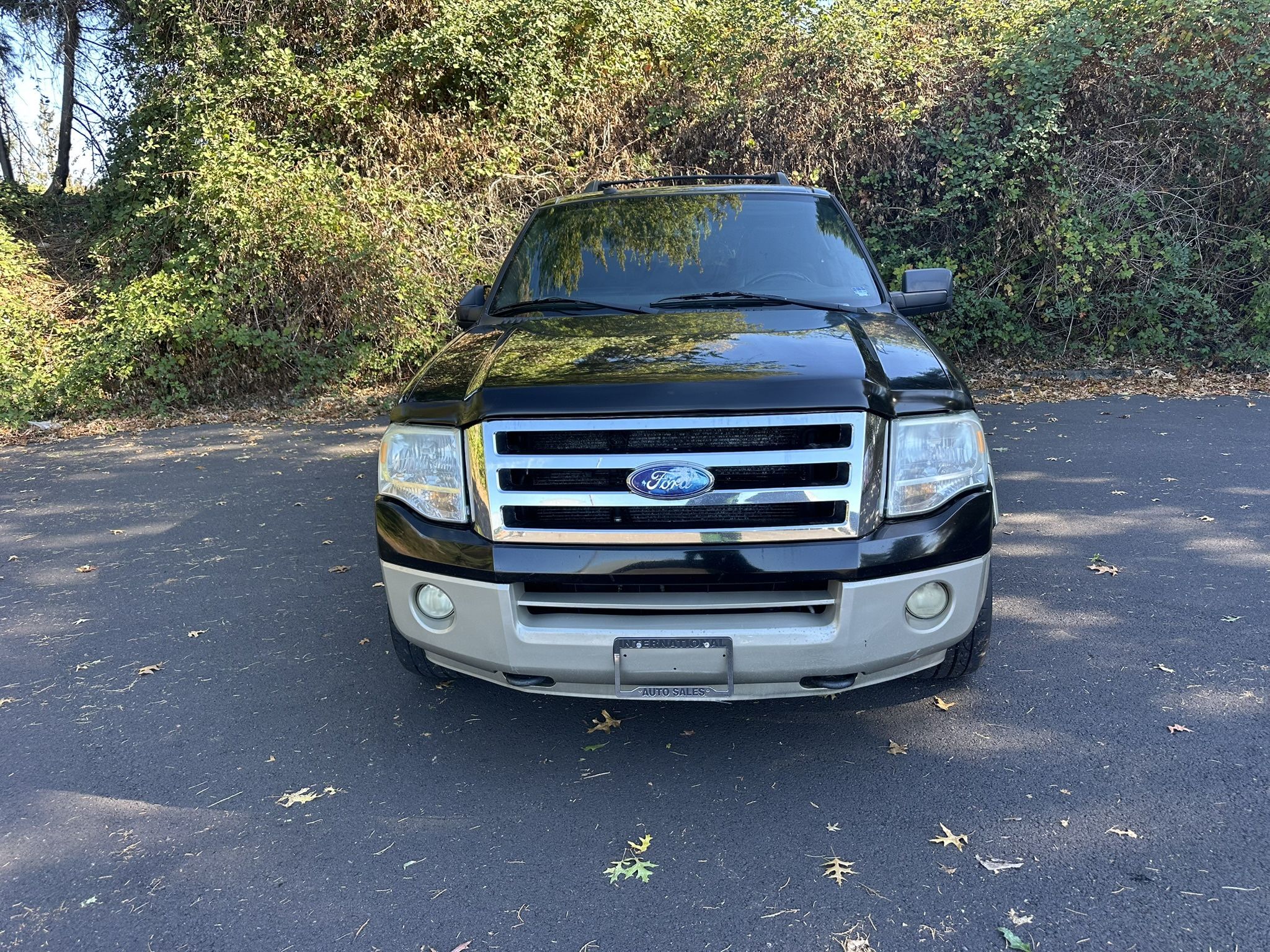 2009 Ford Expedition