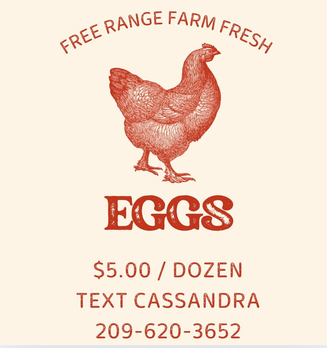 Farm Fresh Eggs
