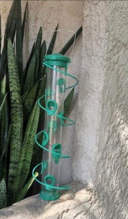 Bird feeder. New