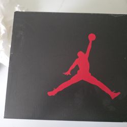 Air Jordan 7