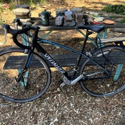 2019 Specialized Dolce Sport Womens Road Bike