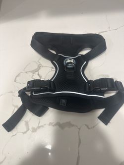 PoyPet Dog Harness FREE 🆓