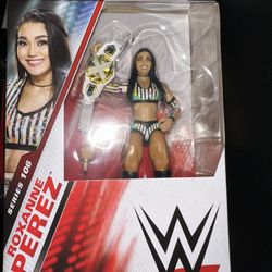 Wwe Toy