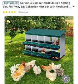 10 Compartment Chicken Nesting Box
