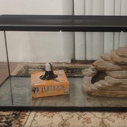 Bearded Dragon Vivarium