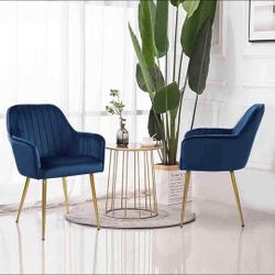 Velvet Dinning Chairs  6