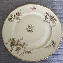 Havilands 10 Inch Plates