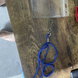 Lanyards (100 of Them)  