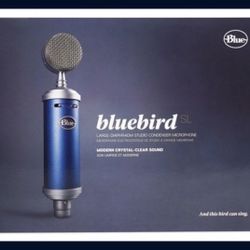 Bluebird Microphone + Pop Filter