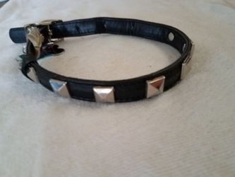 Dog collar