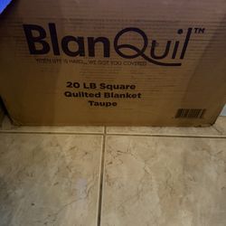 20 Lb Weighted Blanket Grey Color 