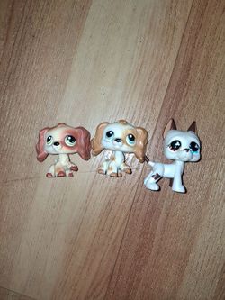 LPS MAIN 5