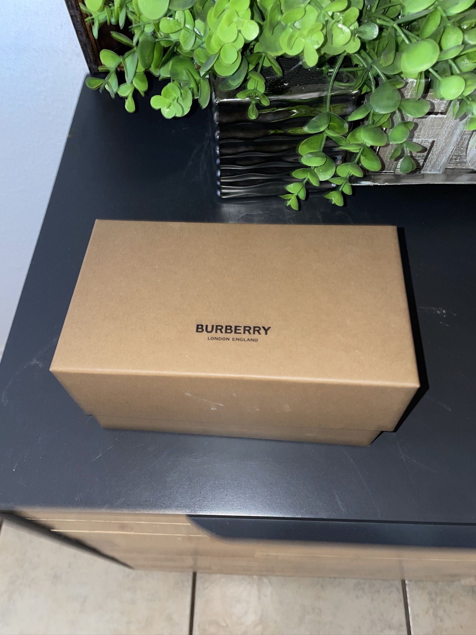 Burberry White Sunglasses 