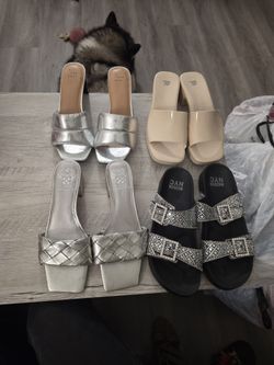 Shoes size 8