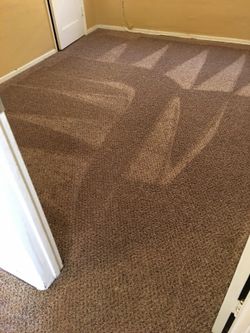 Carpet care