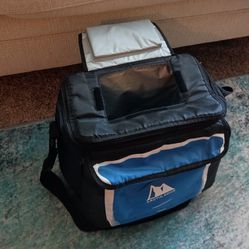 Small Cooler / Lunch Bag