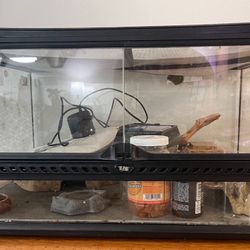Reptile Enclosure