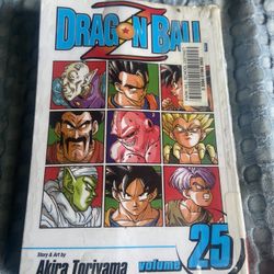 DBZ Buu Arc Manga ( RARE ) 