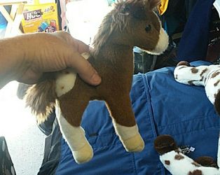 Small horse