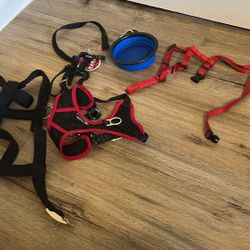 Small dog chain and the cup