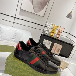 GG Men’s Sneaker With Box New 