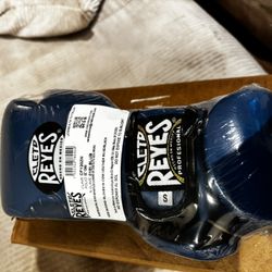 Cleto Reyes Children Boxing Gloves Ages 2-5 