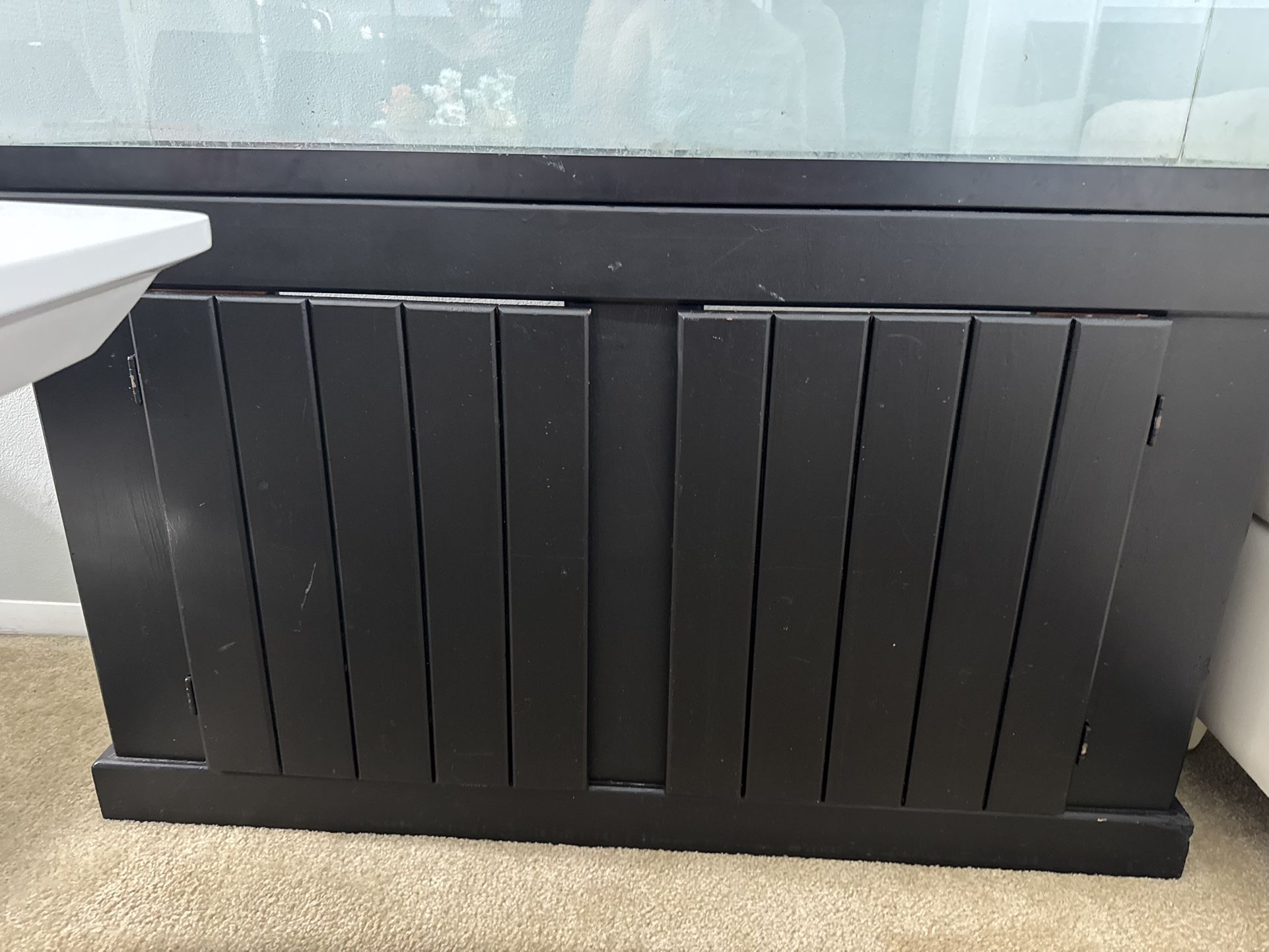55 Gallons Fish Tank With Stand And Canister Filter for Sale in Hialeah