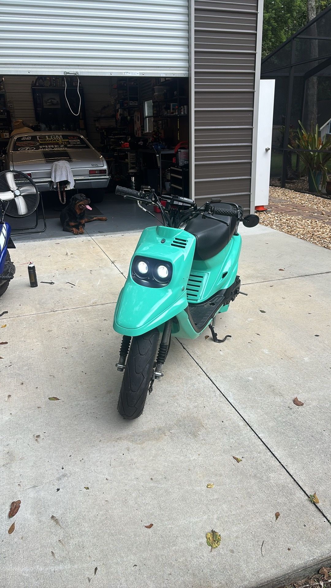 1990 Yamaha Zuma