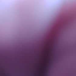 I Have 6 Sheets Of 8feet 8feet 3/4 In Plywood For Sale