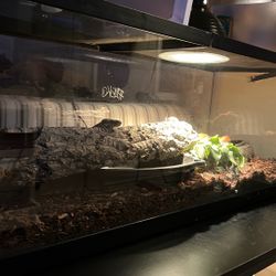 4 Foot Tank With Lights And Snake Toys 