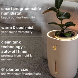 Homedics Humidifier 