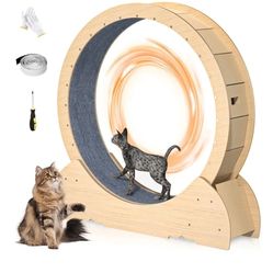Cat Wheel, 46" Large XL Cat Treadmill, Cat Exercise Wheel for Indoor Cats, Cat Running Wheel Cat Fitness Wheel for Cat Lovers, Weight Loss and Health