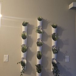Plant Wall Decor