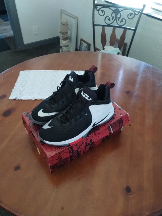 Nike Air Zoom Lebron James Witnesses