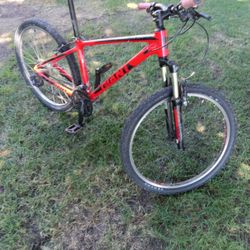 Giant Mountain Bike 24"