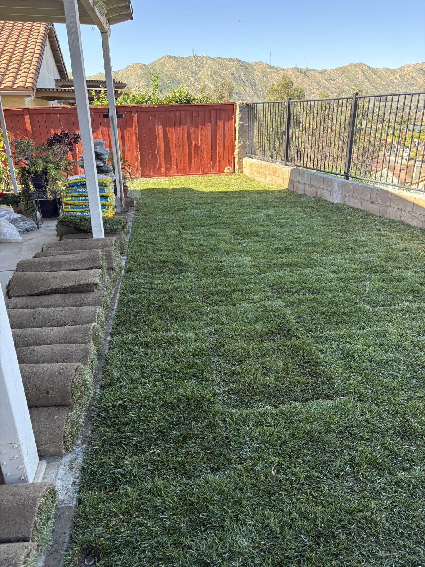 22 Rolls Sod Grass (Tall Fescue) - Green All Year Around!!