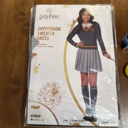 Harry Potter Costume 