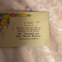 15 Antique Miniature Postcards of San Francisco from early  1900s