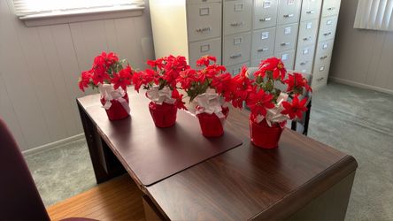 Christmas planters