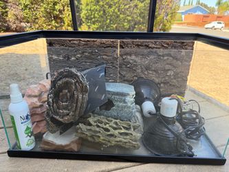Reptile terrarium setup with accessories